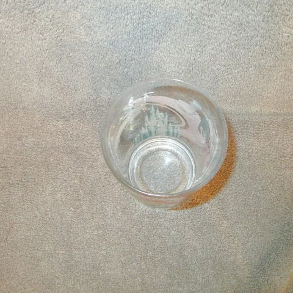 Vtg Disney World Magic Kingdom Drinking Glass Atomic Starburst Tinkerbell Bambi